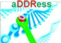 aDDRess/CodeAge:_European_Summer_School_on_Gene_Re